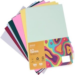 Sundaram TINTED SHEETS A4 120GSM 100Sheets OP-8